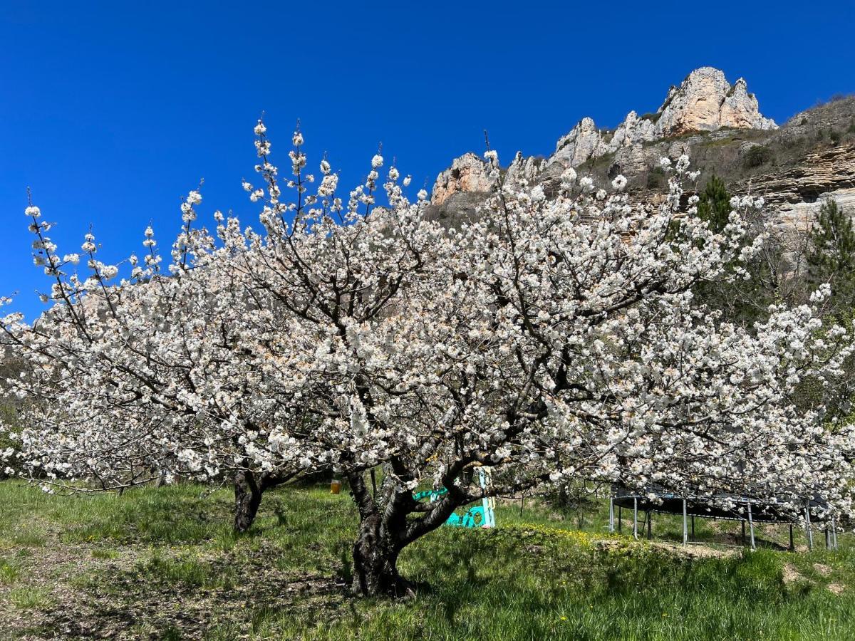 Gite Du Vallon Des Sources มีโญ ภายนอก รูปภาพ